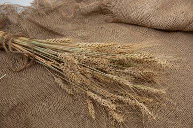 Kırsal bir çuval bezine iple bağlanmış buğday kulakları paketini kapat. Tarım hasadı ve tarım geçmişi.