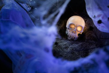 Mavi mistik ışıkta uçan yarasalı ürkütücü kafatası. Cadılar Bayramı için mükemmel, korku geçmişi, gotik dekorasyon ve ürkütücü tatil tasarımı..