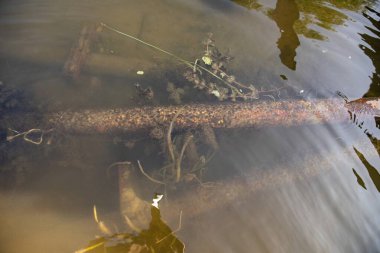 Su ile kaplı paslı boru çevresel kirlilik ekoloji sorunları ve kirli su kaynaklarının sembolü.