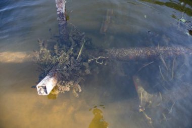 Su ile kaplı paslı boru çevresel kirlilik ekoloji sorunları ve kirli su kaynaklarının sembolü.
