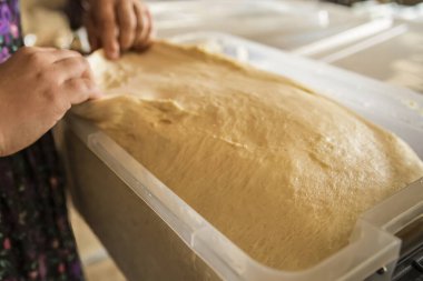 Plastik kabın içinde yükselen taze maya hamurunu kapat ve ellerini uzat. Pişirme işlemi ve ev yapımı hamur işi konsepti.