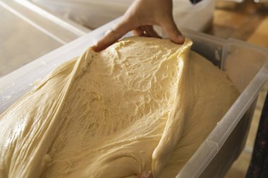 Plastik kabın içine hamur mayası koyan kadınların ellerini kapatın. Geleneksel aile yemekleri ve ev yapımı hamur işleri.