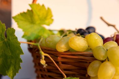 Beyaz bir beze yerleştirilmiş yeşil ve kırmızı üzümlerle dolu bir hasır sepete yaklaş. Taze organik meyve hasadı sağlıklı beslenme teması için mükemmel üzüm bağları ve doğal yiyecekler.