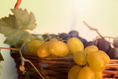 Beyaz bir beze yerleştirilmiş yeşil ve kırmızı üzümlerle dolu bir hasır sepete yaklaş. Taze organik meyve hasadı sağlıklı beslenme teması için mükemmel üzüm bağları ve doğal yiyecekler.