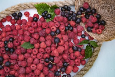 Taze ahududu ve siyah frenk üzümü kırsal kompozisyonda ve halatla yakın mesafede.