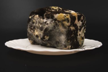 Bozulmuş gıda atığı bakterisi ve sağlık riski kavramının üzerine mantarla kaplanmış küflü ekmeği kapat