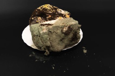 Küf mantarı ve bakteriyle kaplı bozulmuş ekmeğin siyah arka plan konsepti olan gıda atığı konsepti ve sağlıksız ürün üzerine beyaz bir tabakta makro fotoğrafı.