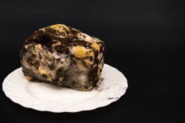 Bozulmuş gıda atığı bakterisi ve sağlık riski kavramının üzerine mantarla kaplanmış küflü ekmeği kapat