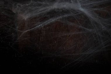 Karanlık ahşap arka planda örümcek ağına yakın Cadılar Bayramı için ürkütücü atmosfer ve korku dekorasyonu kavramları