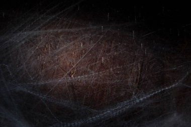 Karanlık ahşap arka planda örümcek ağının görüntüsünü kapat, Cadılar Bayramı için soyut doğal doku, gizem ve ürkütücü tasarım kavramları