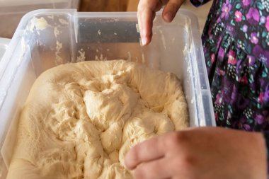 El hamur yoğurma plastik kap ev yapımı pişirme konsepti fırın hazırlama ve geleneksel gıda
