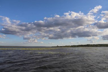 Sakin suları, yeşil kamışları ve mavi gökyüzünde beyaz bulutları olan manzaralı bir nehir. Doğa, rahatlama, seyahat ve eko turizm kavramı