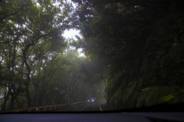 Sisli ormanın içinden dolambaçlı bir yolun manzarası sislerin içinde araba farları parlıyor. Atmosferik seyahat konsepti, gizemli ormanlık ve doğa macerası geçmişi.