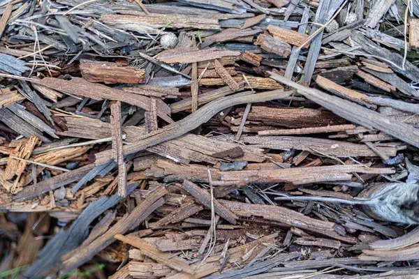 Doğal ahşap gübre parçalarını kapatın ve organik bir doku oluşturun. Bahçe, peyzaj ve doğa tasarımı projeleri için çevre dostu mükemmel bir arka plan..