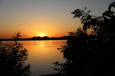 Ukrayna 'da sakin bir nehir üzerinde gün batımı. Su yüzeyinde altın güneş ışığı yansıması ve karanlık ağaç siluetleri. Huzurlu doğal manzara.