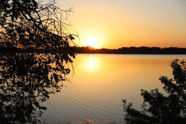 Ukrayna 'da sakin bir nehir üzerinde gün batımı. Su yüzeyinde altın güneş ışığı yansıması ve karanlık ağaç siluetleri. Huzurlu doğal manzara.