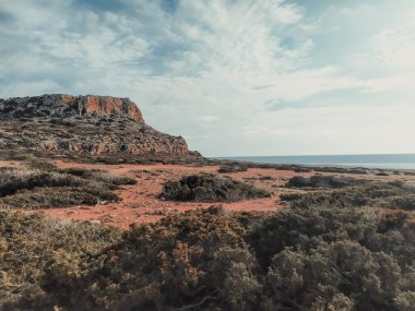 Cape Greco, Ayia Napa yakınlarında. Cavo Greco yakınlarında yeşil çalıları olan kahverengi kırmızı toprak. Kıbrıs, Akdeniz kıyısı. Yumuşak renk paletinde sonbahar deniz manzarası. Kıbrıs 'ın astropikal santralleri.