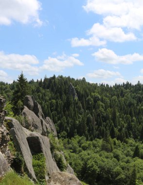 Ormandaki büyük kayalık. Eski bir şatonun kalıntıları. Dağlarda büyük kayalar var. Yaz dağı manzarası. Tustan Kalesi, Ukrayna, Doğu Avrupa