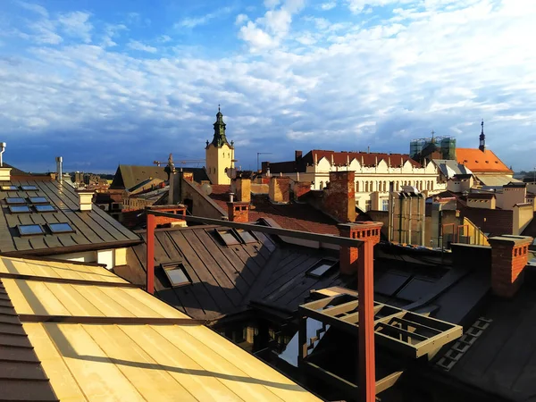 Roof Top View Lviv Ukraine Roofs Ancient Houses Sunset Birds — Stock Photo, Image