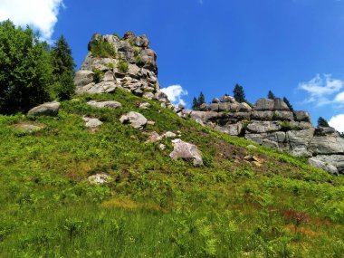 Big stone cliffs in the mountains.Bright summer mountain landscape. Ruins at the site of an ancient castle. Large boulders in the forest. Tustan fortress, Ukraine, Eastern Europe.