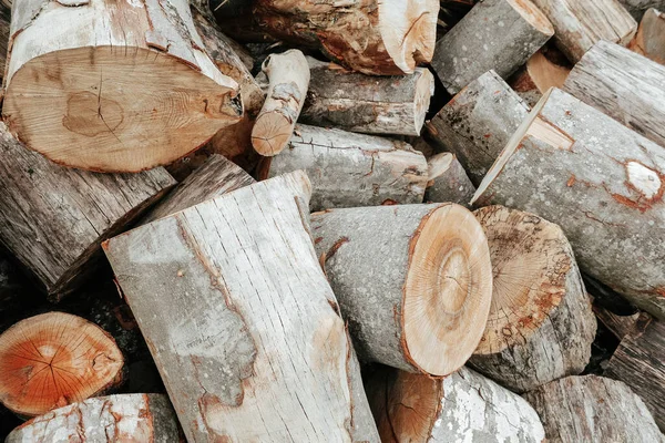 Hardwood fuel, harvesting chopped wood for the winter. Lumber organic texture, natural wooden background. Stacked logs of firewood.