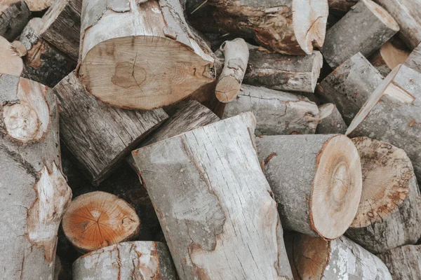 Een Stapel Brandhout Hardhout Brandstof Het Oogsten Van Gehakt Hout — Stockfoto