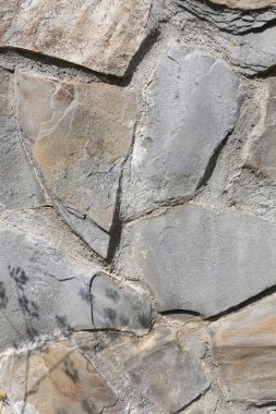 Üzerinde bitkinin gölgesi olan eski bir duvarın parçası. Sarsıntılı taş yüzey. Taş zemin. Grunge dokuyu kapat. Ayrıntılı bej taşı arkaplanı.