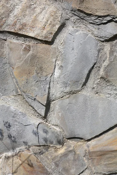 石の背景 植物の影を持つ古い壁の断片 でこぼこの石の表面 食感を閉じます 詳細ベージュ石の背景 — ストック写真