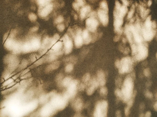斑驳浓密的树影在阳光灿烂的一天挂在棕色的墙上 树枝的影子紧密相连 自然抽象的背景 细致的质感 很容易为您的设计添加深度和有机质感 — 图库照片