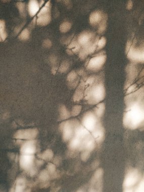 Güneşli bir günde, bej bir duvarda yoğun dallar gölgeler. Ağaçların karanlık gölgeleri yaklaşıyor. Ayrıntılı doku. Doğal bulanık arkaplan.