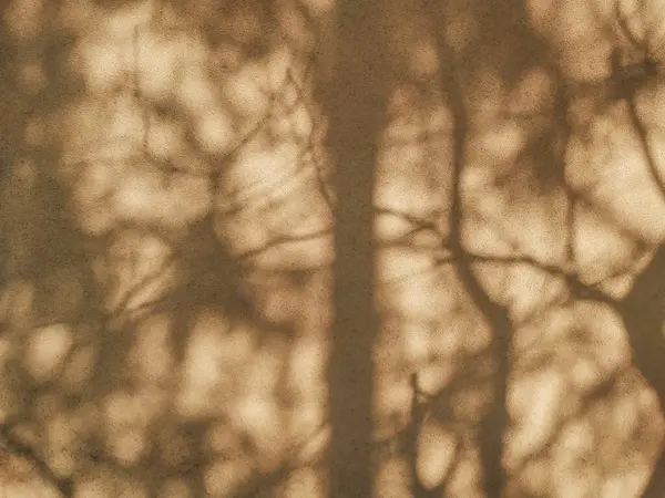 Плотные Тени Деревьев Солнечный День Коричневой Стене Абстрактный Размытый Естественный — стоковое фото
