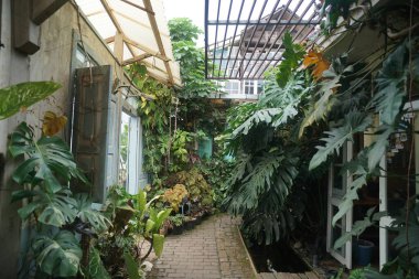 Bereketli tropikal bitkiler, köy binaları arasında dar bir tuğla yolu oluşturarak rahat ve yeşil bir bahçe koridoru oluşturuyor. Çevresel yaşam, doğa ve barışçıl doğa tasarımı için mükemmel bir tema..