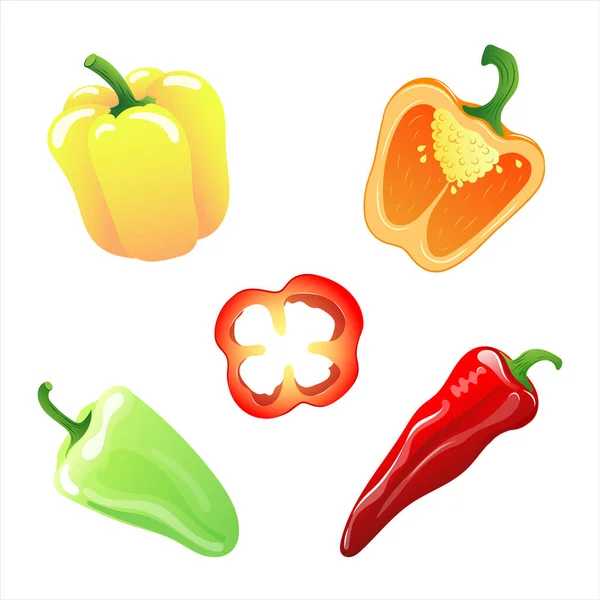 Abbildungen Verschiedener Arten Von Paprika Leuchtenden Farben Vektorillustration — Stockvektor
