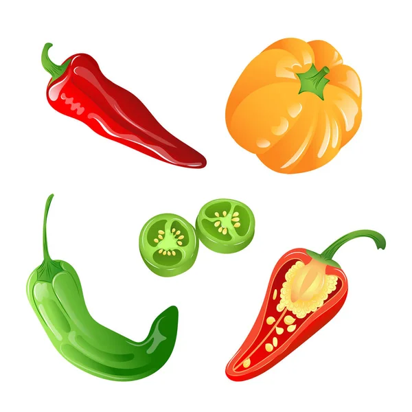 Eine Reihe Von Abbildungen Verschiedener Arten Von Paprika Leuchtenden Farben — Stockvektor