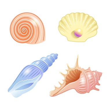 Karikatür tarzında farklı şekil ve renklerdeki deniz kabuklarının vektör çizimleri. Vektör illüstrasyonu