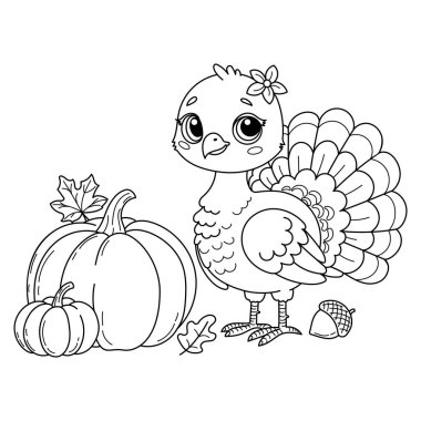 Şükran Günü için vektör çizgisi çizimi. İçinde balkabağı, meşe palamudu ve sonbahar yapraklı şirin bir hindi var. Boyama sayfaları, Şükran Günü süslemeleri ve bayram tasarımları için mükemmel.