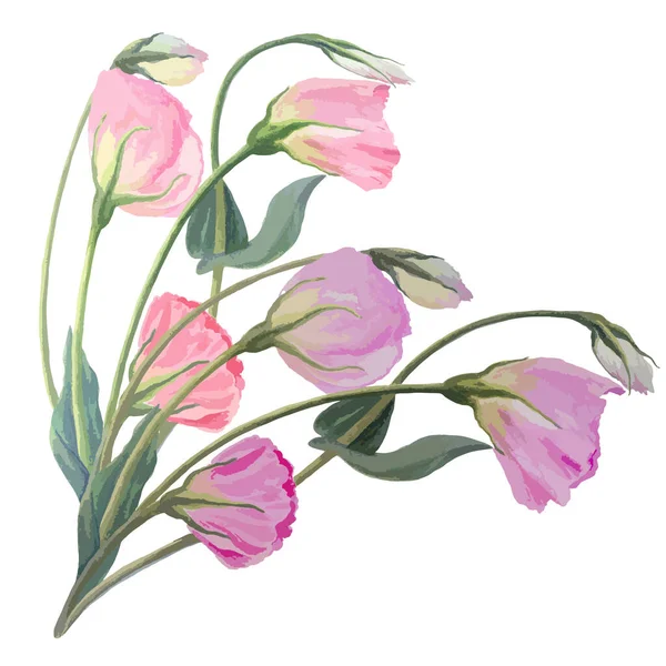 Blommor Knoppar Och Blad Teckning Akvarell Eustoma Tapetsera Med Blommiga — Stock vektor
