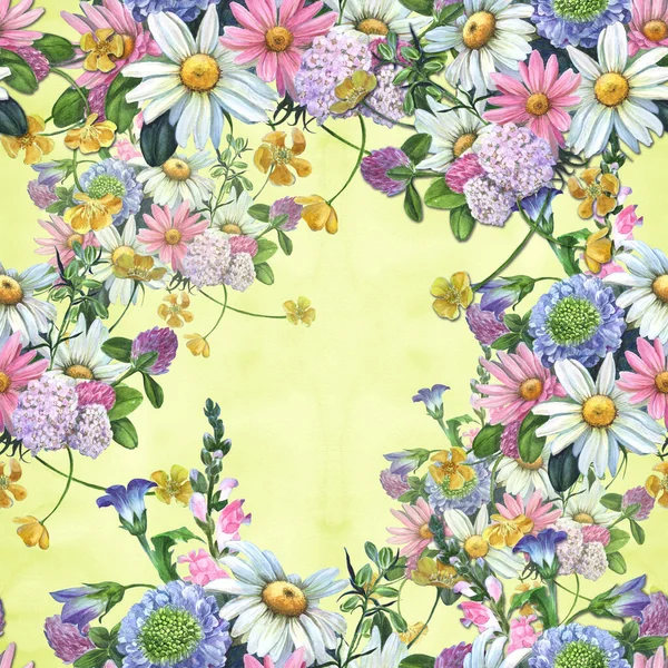 Patrón Sin Costuras Manzanilla Las Flores Silvestres Distintas Composición Decorativa —  Fotos de Stock