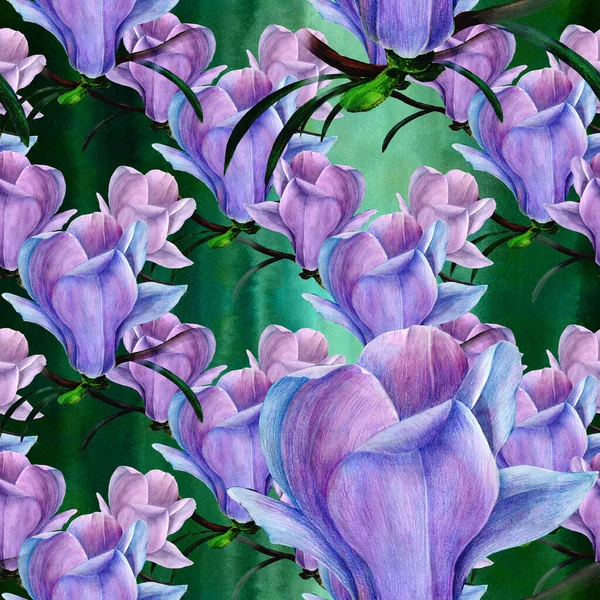 Magnolia Aquarel Naadloze Patroon Takken Zijn Bloei Behang Gebruiken Van — Stockfoto