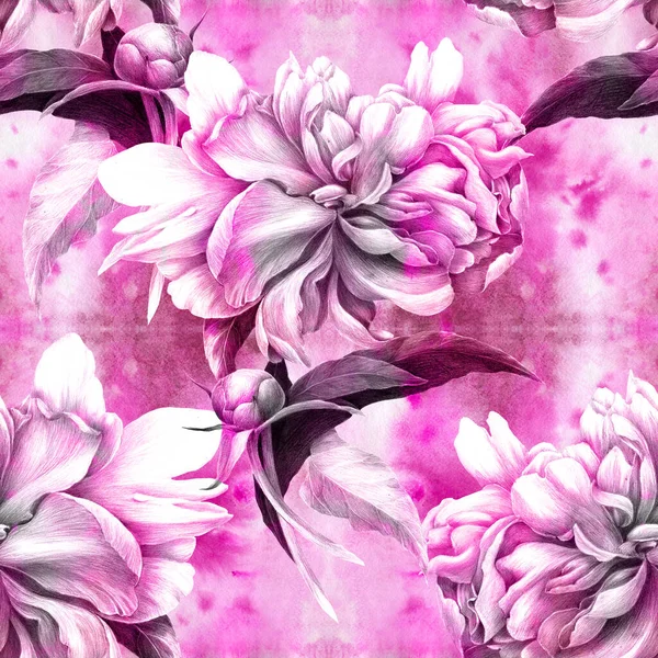 Flowers Buds Pink Peony Collage Flowers Leaves Buds Watercolor Background — Stock Photo, Image