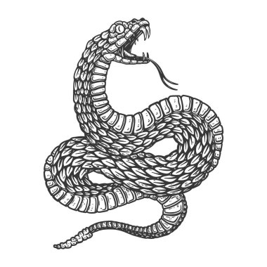 Illustration of poisonous snake in engraving style. Design element for logo, label, sign, poster, t shirt. Vector illustration clipart