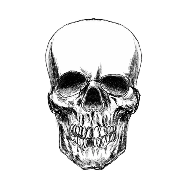 怖い頭蓋骨のイラスト ポスター カード バナー Tシャツのデザイン要素 ベクターイラスト — ストックベクタ