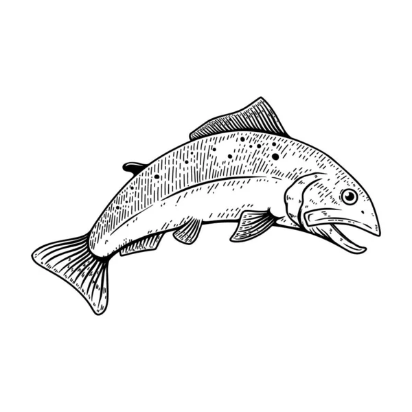 Illustrationen Von Lachsfischen Stich Stil Gestaltungselement Für Logo Emblem Schild — Stockvektor