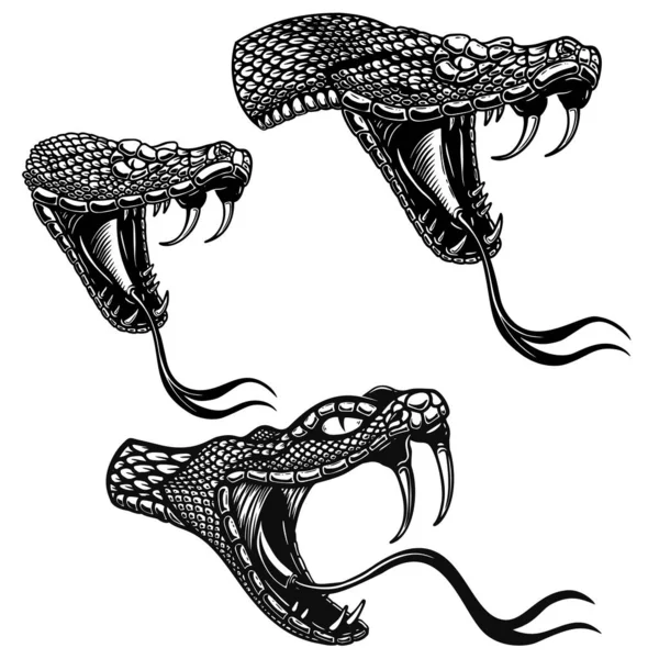 Set Illustrations Heads Poisonous Snake Engraving Style Design Element Logo — Stock Vector
