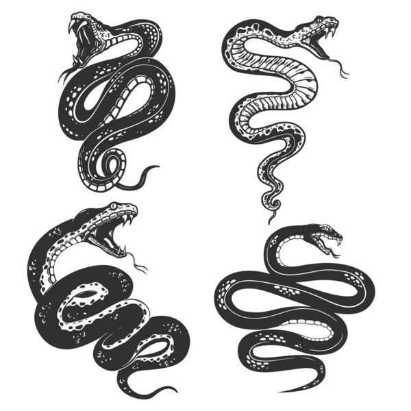 一套刻字风格毒蛇的图解 T恤的设计元素 矢量说明 — 图库矢量图片