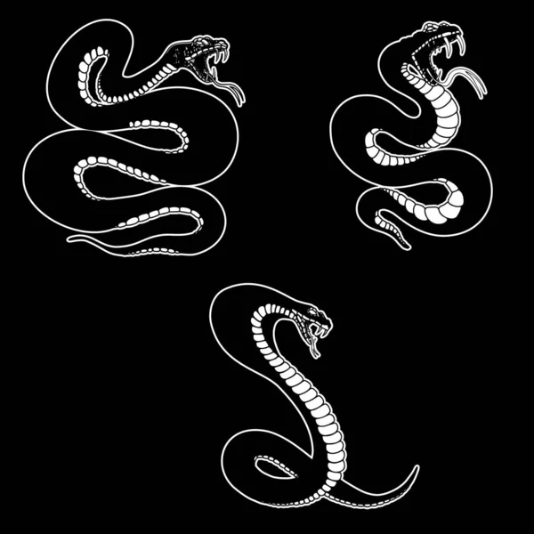 Набір Ілюстрацій Отруйної Змії Гравюрному Стилі Дизайнерський Елемент Логотипу Лейблу — стоковий вектор