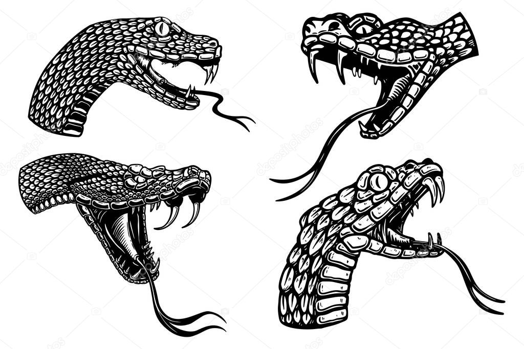Set of illustrations of heads of poisonous snake in engraving style. Design element for logo, label, sign, poster, t shirt. Vector illustration