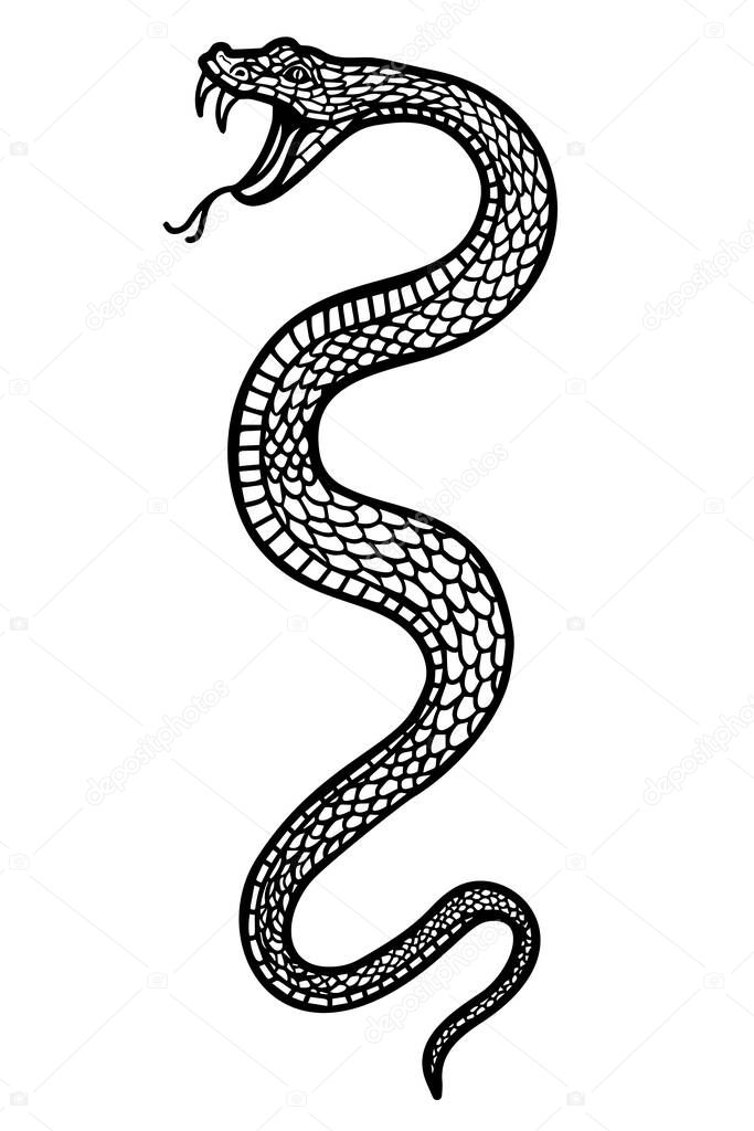 Illustration of poisonous snake  in engraving style. Design element for logo, label, emblem, sign, badge. Vector illustration