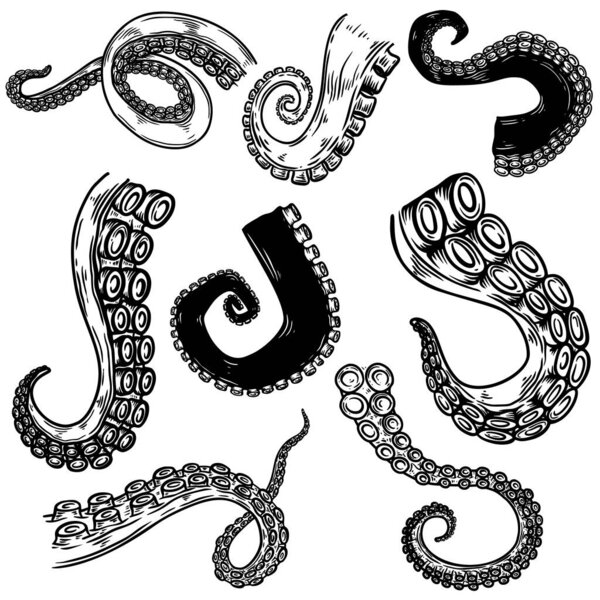 Set of octopus, squid tentacles  in engraving style. Design element for logo, label, emblem, sign, badge. Vector illustration