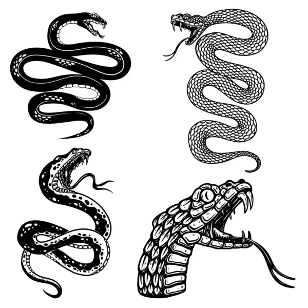 Набор Иллюстраций Ядовитой Змеи Стиле Гравировки Элемент Дизайна Логотипа Этикетки — стоковый вектор